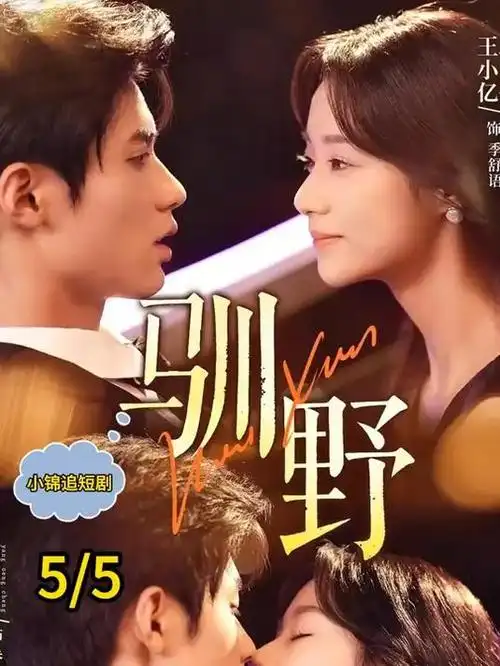 高清短剧电梯之间海报